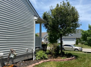 Bush Trimming by Jalon Rohrbaugh for Tomika W. in Delaware, OH
