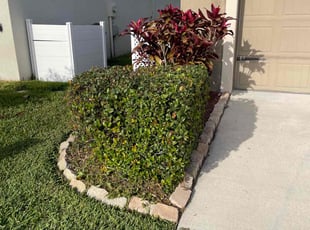 Bush Trimming by Hanif Ibn King for Gentle H. in Lakeland, FL