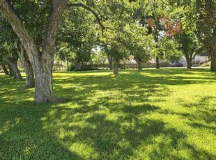 Angel M.'s Yard Cutting service result