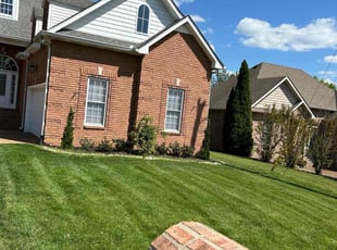 Mia D.'s Lawn Maintenance service result
