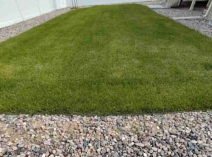 Scott O.'s Lawn Service service result
