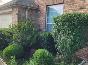 Bush Trimming by Gerome Randle for LaWanda M. in Mansfield, TX