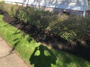 Mulching by Tillman Heuer for Lynn H. in Chesapeake, VA