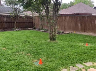 Colleen B.'s Lawn Mowing Service service result