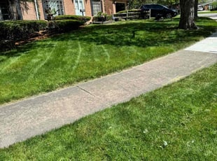 Kevin L.'s Lawn Service service result