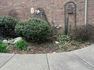 Bush Trimming by Dominick Baldwin for Synjyn C. in Nixa, MO