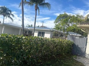 Bush Trimming by Deonte Deas for Linda K. in Deerfield Beach, FL