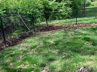 Leaf Removal by Thomas Stark for Zack H. in Des Moines, IA