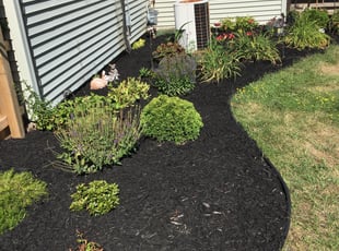 Mulching by Kyle Cardinell for LeeAnn T. in Syracuse, NY