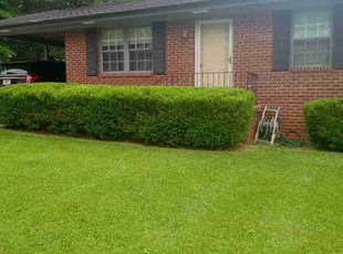 Tony P.'s Lawn Mowing service result