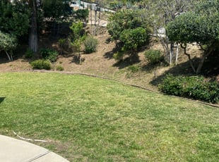 Bush Trimming by Alfonso Mateo for Virginia N. in Glendale, CA