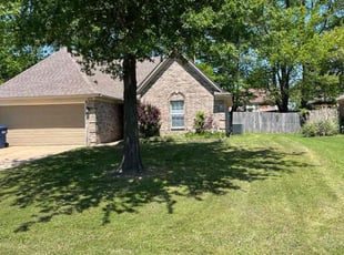 Carlos H.'s Lawn Mowing service result