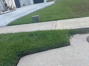 Michael W.'s Lawn Mowing service result