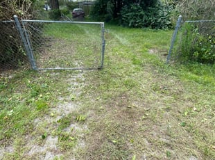 Bush Trimming by Jeff Osbeck for Dave C. in Lake Wales, FL