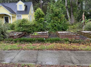 Weeding by Herschell Bradley for Judy S. in Tallahassee, FL