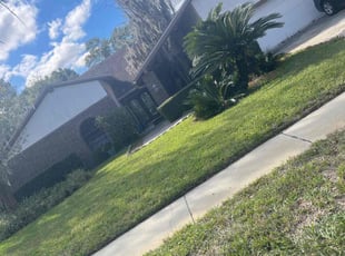 Bush Trimming by Alain Beckfordxx for samuel B. in Lutz, FL
