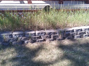 Weeding by Nathan Downey for Ian B. in Ferndale, MI