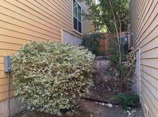 Bush Trimming by Derek Schoenfeld for Tony S. in San Antonio, TX