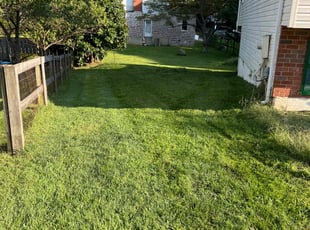 Paul C.'s Grass Cutting service result