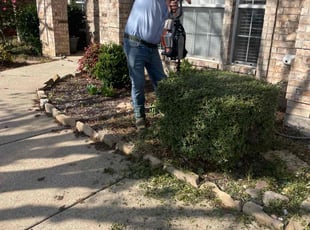 Jacqwan G.'s Bush Trimming service result
