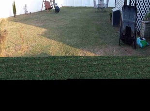 Bryant V.'s Lawn Mowing Service service result