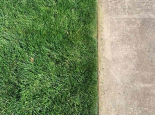 Donald G.'s Lawn Care service result