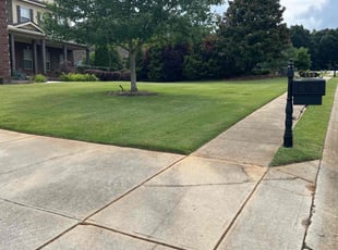 Tori P.'s Lawn Mowing service result