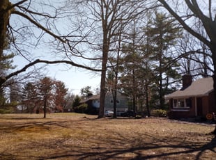 Leaf Removal by Tailan Swayze for Jacquelyn P. in North Wales, PA
