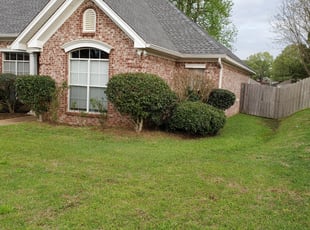 Bush Trimming by Frank Schneider for Kishana C. in Jackson, MS
