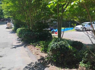 Bush Trimming by Zachary Cooper for Seng M. in Gastonia, NC