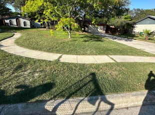 Leaf Removal by Lacy Dixon for Sarah M. in San Antonio, TX