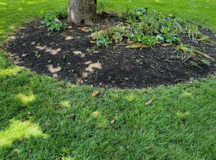 Leaf Removal by Edwin Villagran for JAEIL A. in Potomac, MD
