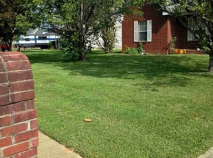 Se'Lena N.'s Lawn Mowing Service service result
