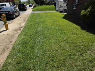 Jeff C.'s Lawn Mowing service result