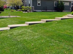 Lori R.'s Lawn Mowing service result