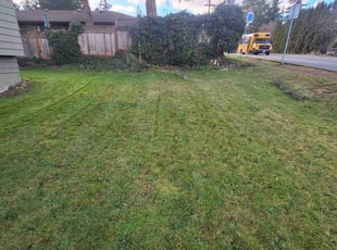 Kari K.'s Lawn Mowing Service service result