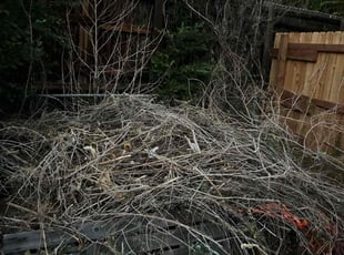 Cleanups by Adameus Marcum for Catherine M. in Northglenn, CO