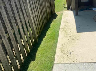 Cantrell B.'s Lawn Mowing service result