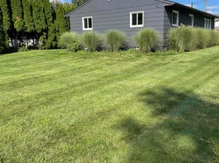Mary D.'s Lawn Service service result