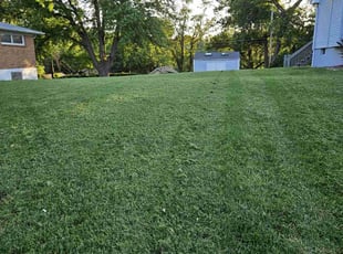 Meghan j.'s Lawn Mowing Service service result