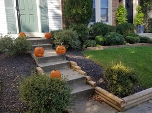 Bush Trimming by Miguel Santos for Hilary R. in Gaithersburg, MD