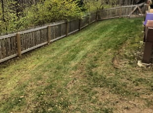 Leaf Removal by Van Gillum for Marie P. in Kansas City, MO