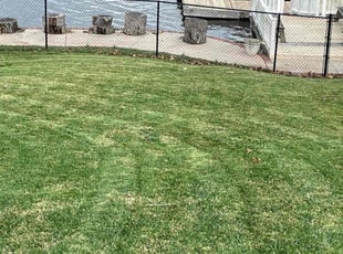 Sarah P.'s Lawn Care service result