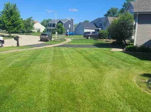 Steve K.'s Lawn Care service result
