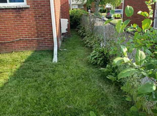Doug R.'s Lawn Service service result