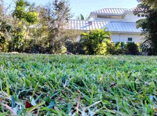 Darrell W.'s Lawn Care service result