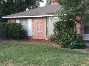 Bush Trimming by Chaes Pate for Kevin & Connie F. in San Antonio, TX