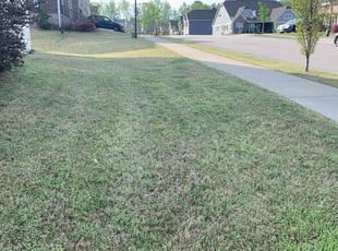 Weeding by Tim King for David C. in Wake Forest, NC