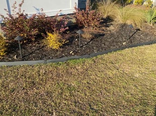 Weeding by Jayquan Grooms for Michael T. in Summerville, SC