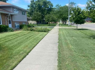 Wayne J.'s Lawn Care service result